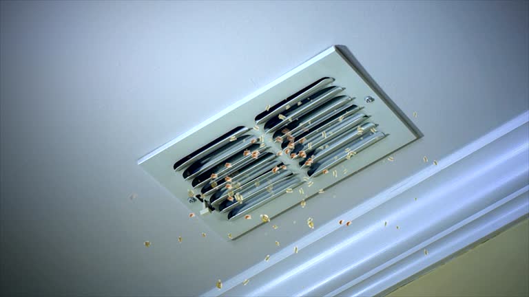 Affordable HVAC Duct Cleaning in Mississippi State, MS