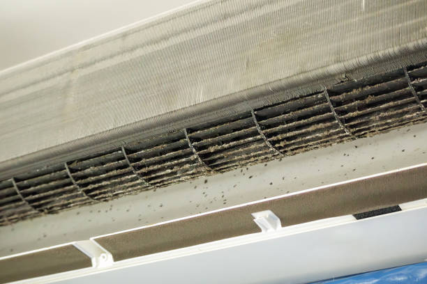 Best Air Duct Cleaning Near Me  in Mississippi State, MS